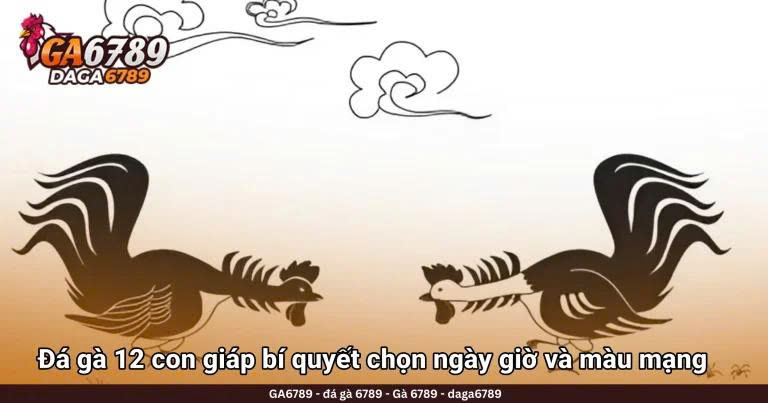 Đá gà 12 con giáp bí quyết chọn ngày giờ và màu mạng chuẩn xác